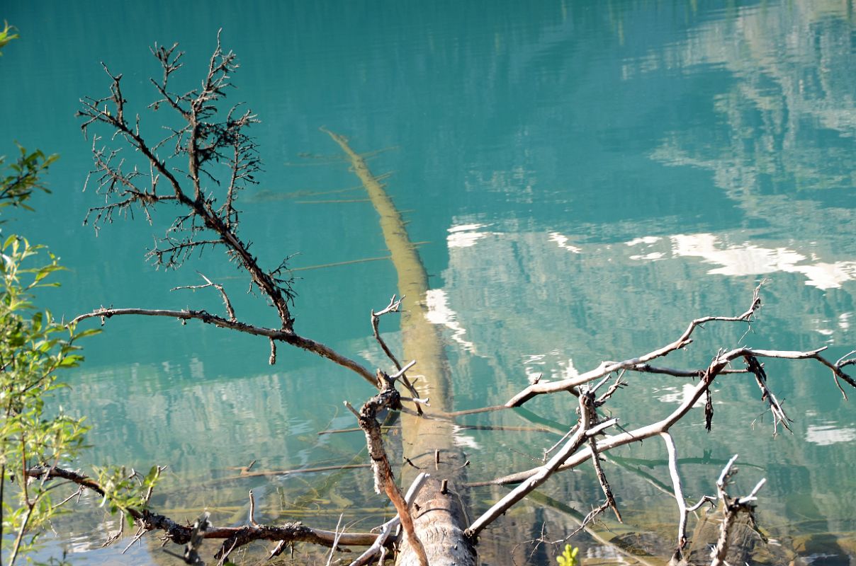 11 Tree Trunk Submerged In Lake O-Hara Morning
